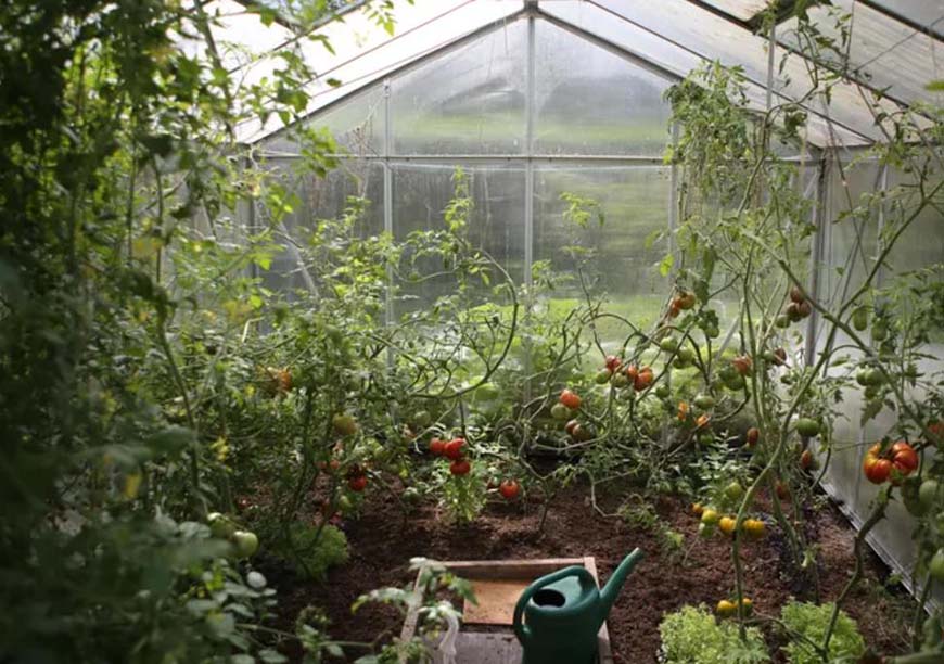 Garten- und Freizeit Ausrüstungsempfehlung: Die Outdoor-Zeit verschönern